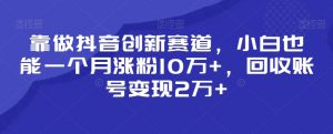 靠做抖音创新赛道，小白也能一个月涨粉10万+，回收账号变现2万+【揭秘】-最全项目网