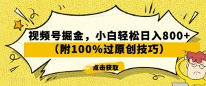 视频号掘金，小白轻松日入800+（附100%过原创技巧）【揭秘】-最全项目网