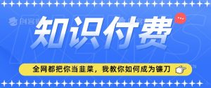 2024最新知识付费项目,小白也能轻松入局,全网都在教你做项目,我教你做镰刀【揭秘】-最全项目网