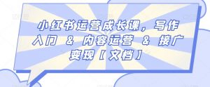 小红书运营成长课,写作入门&内容运营&接广变现【文档】-最全项目网