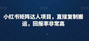 小红书矩阵达人项目,直接复制搬运,回报率非常高-最全项目网