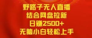 野路子无人直播结合网盘拉新,日赚2500+,小白无脑轻松上手【揭秘】-最全项目网