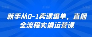 新手从0-1卖课爆单,直播全流程实操运营课-最全项目网