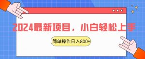 2024最新项目,红娘项目,简单操作轻松日入800+【揭秘】-最全项目网