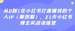 从0到1在小红书打造赚钱的个人IP（第四期），21天小红书博主实战训练营-最全项目网