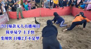 冷门爆款无人直播项目,简单易学上手快,变现快日赚2千不是梦【揭秘】-最全项目网