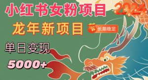 小红书女粉头像项目,单日变现5000+,适合在家做的副业,长期稳定【揭秘】-最全项目网