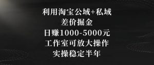 利用淘宝公域+私域差价掘金，日赚1000-5000元，工作室可放大操作，实操稳定半年【揭秘】-最全项目网