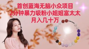 首创蓝海无脑小众项目，2分钟暴力吸粉小姐姐富太太，月入几十万【揭秘】-最全项目网