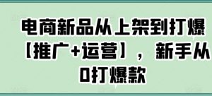 电商新品从上架到打爆【推广+运营】，新手从0打爆款-最全项目网