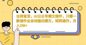 全网首发，AI公众号爆文插件，只需一款插件全自动输出爆文，矩阵操作，月入3W+【揭秘】-最全项目网