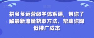 拼多多运营必学体系课,带你了解最新流量获取方法、帮助你降低推广成本-最全项目网