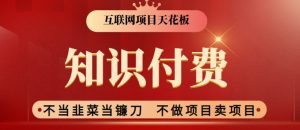 2024互联网项目天花板,新手小白也可以通过知识付费月入10W,实现财富自由【揭秘】-最全项目网
