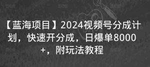 【蓝海项目】2024视频号分成计划，快速开分成，日爆单8000+，附玩法教程-最全项目网
