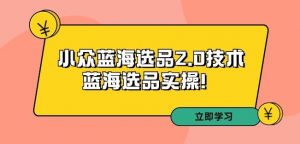 拼多多培训第33期:小众蓝海选品2.0技术-蓝海选品实操!-最全项目网