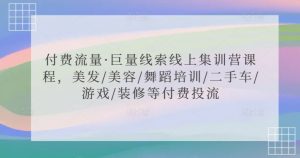 付费流量·巨量线索线上集训营课程，美发/美容/舞蹈培训/二手车/游戏/装修等付费投流-最全项目网