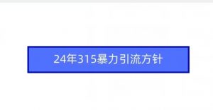 24年315暴力引流方针-最全项目网