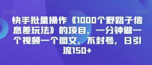 快手批量操作《1000个野路子信息差玩法》的项目，一分钟做一个视频一个图文，不封号，日引流150+【揭秘】-最全项目网
