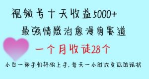 十天收益5000+,多平台捞金,视频号情感治愈漫剪,一个月收徒28个,小白一部手机轻松上手【揭秘】-最全项目网