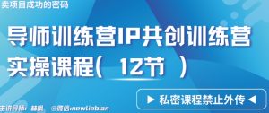 导师训练营3.0IP共创训练营私密实操课程（12节）-卖项目的密码成功秘诀【揭秘】-最全项目网