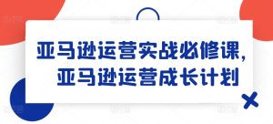 亚马逊运营实战必修课，亚马逊运营成长计划-最全项目网