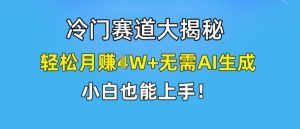 冷门赛道大揭秘,轻松月赚1W+无需AI生成,小白也能上手【揭秘】-最全项目网