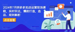 2024年7月拼多多实战运营现场课程，实时玩法，爆款打造，选品、规则解析-最全项目网