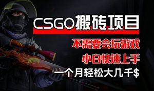 CSGO 装备搬砖项目，操作简单，不需要会玩游戏，小白也能快速上手，一个月轻松大几千【揭秘】-最全项目网