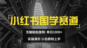 小红书国学赛道,无脑粘贴复制,单日1K,实操演示,小白即刻上手【揭秘】-最全项目网