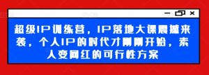 超级IP训练营，IP落地大课震撼来袭，个人IP的时代才刚刚开始，素人变网红的可行性方案-最全项目网