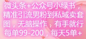 微头条+公众号小绿书，精准引流男粉到私域卖套图，无脑操作，有手就行，每单99-200，每天5单-最全项目网