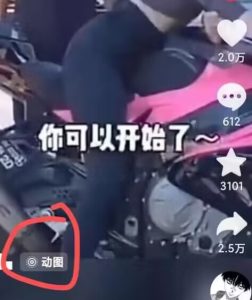 2024年7月苹果手机动图搬运技术-最全项目网