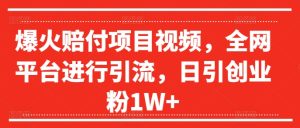 爆火赔付项目视频,全网平台进行引流,日引创业粉1W+【揭秘】-最全项目网