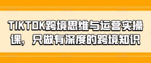 TIKTOK跨境思维与运营实操课,只做有深度的跨境知识-最全项目网