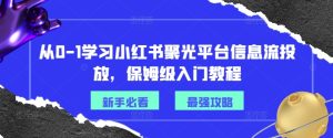 从0-1学习小红书聚光平台信息流投放,保姆级入门教程-最全项目网