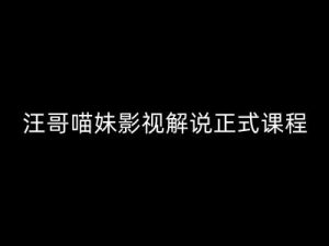 汪哥影视解说正式课程:剪映/PR教学/视解说剪辑5大黄金法则/全流程剪辑7把利器等等-最全项目网