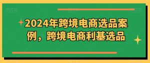 2024年跨境电商选品案例,跨境电商利基选品(更新)-最全项目网