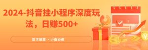 2024全网首次披露,抖音挂小程序深度玩法,日赚500+,简单、稳定,带渠道收入,小白必做【揭秘】-最全项目网