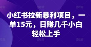 小红书拉新暴利项目,一单15元,日赚几千小白轻松上手【揭秘】-最全项目网