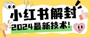 2024最新小红书账号封禁解封方法，无限释放手机号【揭秘】-最全项目网
