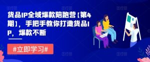货品IP全域爆款陪跑营【第4期】,手把手教你打造货品IP,爆款不断-最全项目网