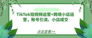 TikTok短视频运营+跨境小店运营，账号引流、小店成交-最全项目网