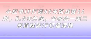 小红书IP打造60天实战营11期,5.0大升级,全网独一无二的自媒体IP打造课程-最全项目网