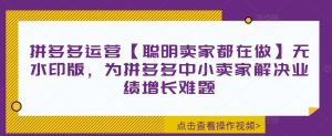 拼多多运营【聪明卖家都在做】无水印版,为拼多多中小卖家解决业绩增长难题-最全项目网