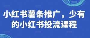 小红书薯条推广,少有的小红书投流课程-最全项目网