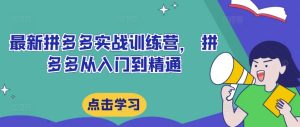 最新拼多多实战训练营, 拼多多从入门到精通-最全项目网