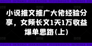 小说推文推广大佬经验分享，女频长文1天1万收益爆单思路(上)-最全项目网
