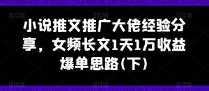 小说推文推广大佬经验分享，女频长文1天1万收益爆单思路(下)-最全项目网