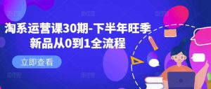 淘系运营课30期-下半年旺季新品从0到1全流程-最全项目网