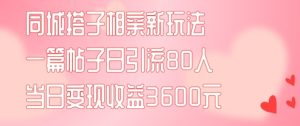 同城搭子相亲新玩法一篇帖子引流80人当日变现3600元(项目教程+实操教程)【揭秘】-最全项目网